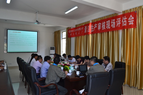 海峽科化龍巖分公司清潔生產(chǎn)審核順利通過(guò)現場(chǎng)評估,圖為清潔生產(chǎn)審核報告評估會(huì )現場(chǎng).鄧義楨攝.jpg