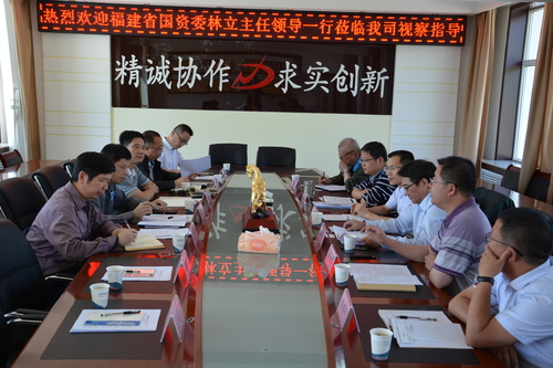 洪進(jìn)青：省國資委領(lǐng)導視察海西東諾公司1.jpg