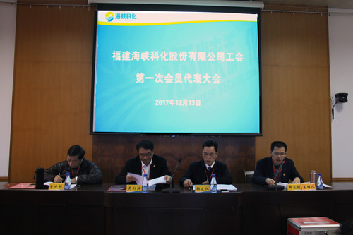 羅聯(lián)河：公司成功召開(kāi)工會(huì )第一次會(huì )員代表大會(huì )（圖為大會(huì )現場(chǎng)）.jpg