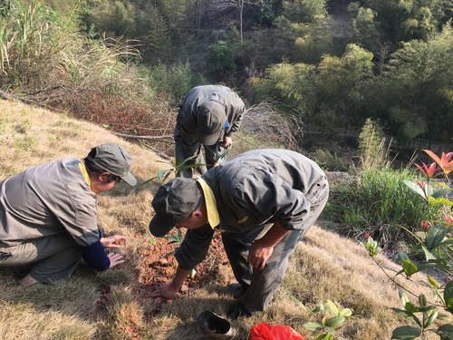 鄭新浩：永安分公司六車(chē)間組織員工開(kāi)展植樹(shù)活動(dòng)1.jpg