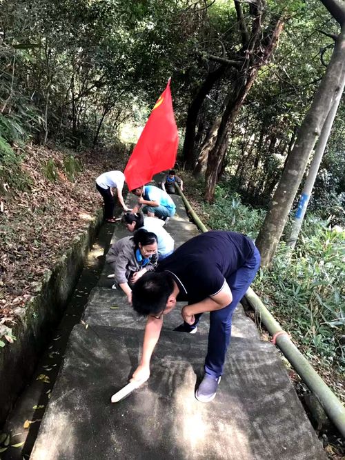 陳宏金：不忘初心 牢記使命，永春分公司組織機關(guān)黨員清理上下班臺階的青苔1.jpg