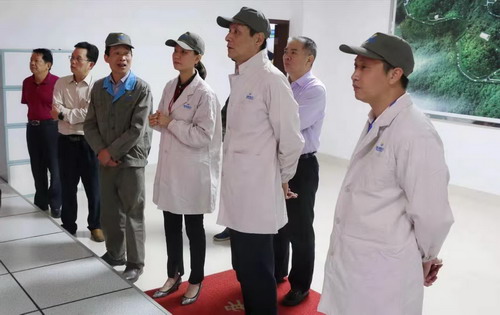 （采用）吳瑤：省工信廳裝備處尹斌處長(cháng)等一行6人蒞臨龍巖分公司調研指導_調整大小.jpg
