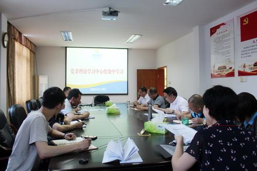 永安分公司黨委進(jìn)行《中共中央國務(wù)院關(guān)于構建更加完善的要素市場(chǎng)化配置體制機制的意見(jiàn)》學(xué)習_調整大小.jpg