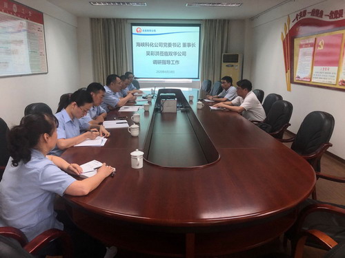 永安雙華公司吳泉艷：吳彩洪董事長(cháng)到雙華公司調研指導工作_調整大小.jpg