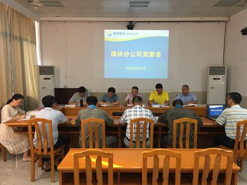 烽林鄭小杰：黨委會(huì )現場(chǎng)_調整大小.jpg