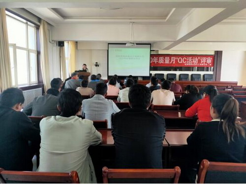 青海海西東諾化工有限公司舉行QC成果發(fā)布會(huì )現場(chǎng)_調整大小.jpg