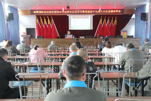 福安分公司胡廷淦：圖�?1�?0日海峽科化福安分公司舉辦學(xué)習貫徹黨的十九屆六中全會(huì )精神宣講會(huì )~1.jpg
