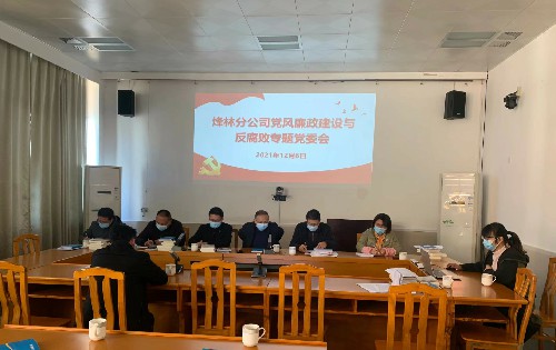 烽林林美玲：黨風(fēng)廉政建設專(zhuān)題黨委會(huì )~1.jpg