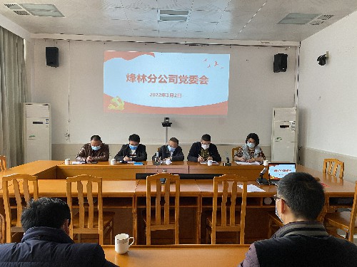烽林連珂瑩：烽林分公司召開(kāi)黨委會(huì )深入學(xué)習貫徹省委“提高效率、提升效能、提增效益”行動(dòng)精�?(1)~1.jpg