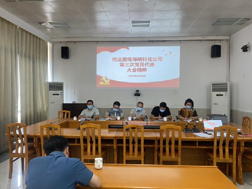 烽林連珂瑩：傳達貫徹海峽科化公司第三次黨員代表大會(huì )精神會(huì )議現場(chǎng)~1.jpg