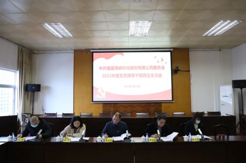 格式工廠(chǎng)海峽科化公司黨委召開(kāi)2022年度黨員領(lǐng)導干部民主生活�?.jpg
