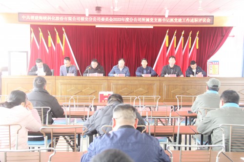 格式工廠(chǎng)福安胡廷淦：圖為福安分公�?黨委召開(kāi)2022年度所屬黨支部書(shū)記抓基層黨建工作述職評議會(huì ) (1).jpg