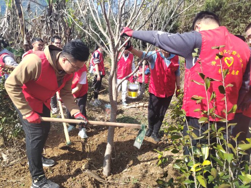格式工廠(chǎng)龍巖分公�?黃曉�?植樹(shù)現場(chǎng)1.jpg