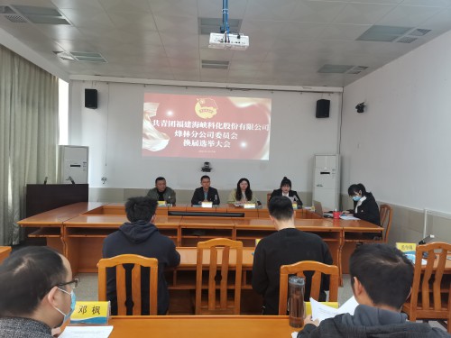 格式工廠(chǎng)烽林連珂瑩：海峽科化烽林分公司團委換屆選舉大會(huì )勝利召開(kāi)（會(huì )議現場(chǎng)）.jpg