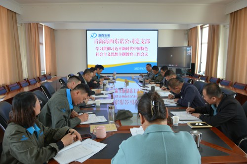 格式工廠(chǎng)青海海西東諾化工有限公司召開(kāi)學(xué)習貫徹習近平新時(shí)代中國特色社會(huì )主義思想主題教育工作會(huì )議現場(chǎng).jpg