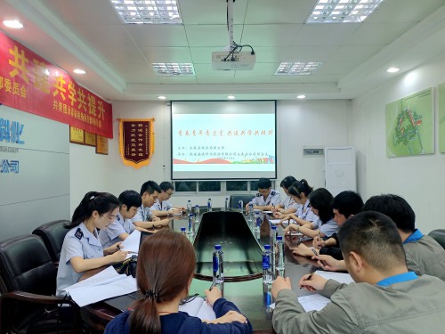 格式工廠(chǎng)稅企主題團日共建1.jpg