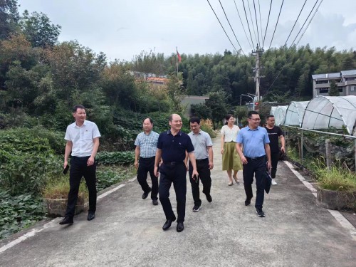 格式工廠(chǎng)福安黃曉志：圖為省機電控股公司黨委委員、副總經(jīng)理吳大文到福安市仙嶺村開(kāi)展鄉村振興工作調�?(2).jpg